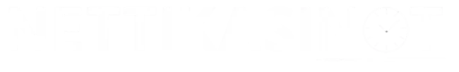 nettikasinot logo